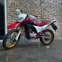 تریل برمودا معا‌وضه با تریل بنلی