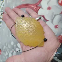 گردنی شرف الشمس