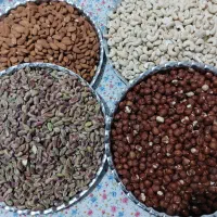 کیک کلوچه ابمیوه شکلات ویژه پذیرایی مراسم|عمده‌فروشی|نیشابور, میدان حافظ|دیوار
