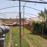 اسکلت-گلخانه-گالوانیزه