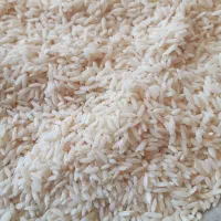 برنج علی کاظمی درجه یک بشرط پخت چقلوندی