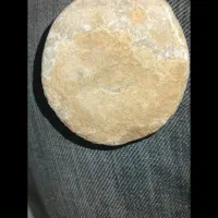 فروش فسیل نادر و زیبا|کلکسیون اشیاء عتیقه|داراب, |دیوار