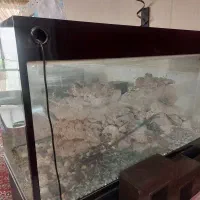 آکواریوم وارداتی|ماهی|تهران, فدک|دیوار