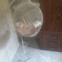 دو قفس طوطی سانان معاوضه با تخت فلزی تک نفره کامل|لوازم جانبی حیوانات|تهران, توحید|دیوار