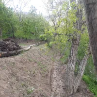 ۹۶۰ متر باغچه فروشی/جاده چالوس/نوجان|فروش خانه و ویلا|آسارا, |دیوار