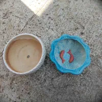 گلدون سرامیکی و تنگ ماهی درح حوض