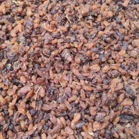 کشمش آفتابی درجه یک