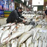 ماهی شمال و جنوب بازارچه غدیر