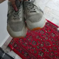 کفش اسپرت
