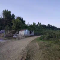 استخرماهی ۳هکتارجاده جیرده|فروش زمین و ملک کلنگی|شفت, |دیوار