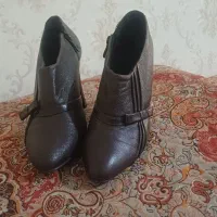 نیم بوت مجلسی