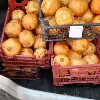 انار تفت|حراج|یزد, |دیوار