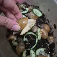 حلزون های درمانی مناسب جوانسازی