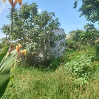 منزل کلنگی شمال شهر|فروش خانه و ویلا|اصفهان, شاه پسند|دیوار