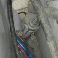 ویبره