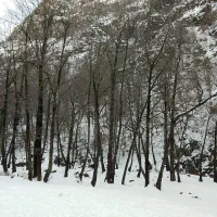 سفت کاری ساختمان بنایی،سیمان کاری