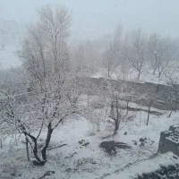 زمین فروشی روستای نشوه