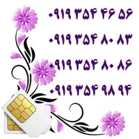 0919.151.3362|سیم‌کارت|قم, ژاندارمها|دیوار