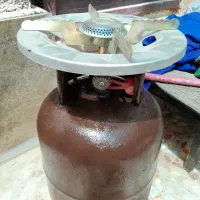 پکنیک ۵ کیلویی پرپر  روشن