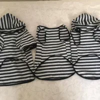 لباس پت سگ و گربه|لوازم جانبی حیوانات|شاهین‌شهر, عطار|دیوار