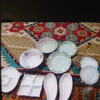 ظرف پذیرایی سالم