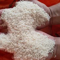 برنج صدری دمسیاه