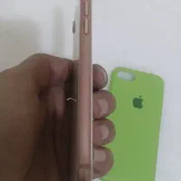 ایفون 8|موبایل|بجنورد, |دیوار