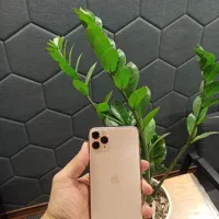 iPhone 11 Pro Max.|موبایل|قم, انسجام|دیوار