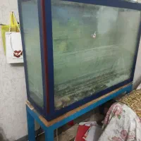 آکواریوم شیشه ای بامیز آهنی محکم