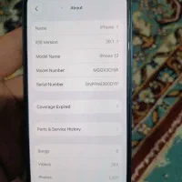 ایفون ۱۲ نرمال|موبایل|بابل, |دیوار