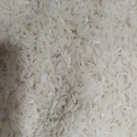 برنج هاشمی درگز