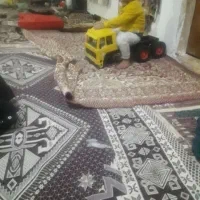 لباس بچه ندا