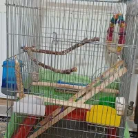 قفس بزرگ با کلیه ی وسایل جانبی ۱۵۰۰