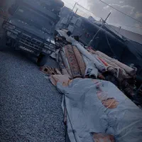 قالیشویی خلیج فارس قالی شویی|خدمات نظافت|زاهدان, |دیوار