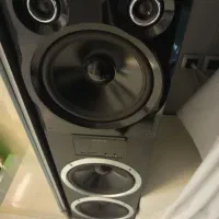 اسپیکر باند ایستاده سونیا