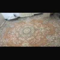 فرش|فرش|بندرعباس, |دیوار