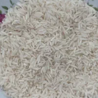 برنج  فجر سوزنی90روزه از خود کشاورز