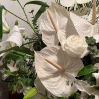 باکس گل طبیعی گلهای ارزنده