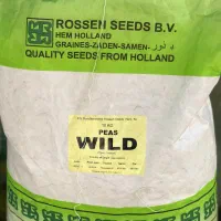 فروش عمده بذر نخود فرنگی ولف F1 بزودی