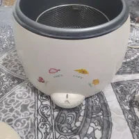 سرخ کن دولیتری|اجاق گاز و لوازم برقی پختوپز|زاهدان, |دیوار