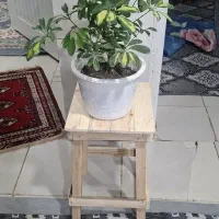 صندلی چوبی