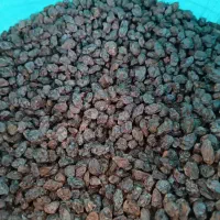 کشمش درجه یک