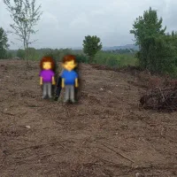 زمین باغی ویو ابدی|فروش زمین و ملک کلنگی|رشت, استقامت ۲|دیوار