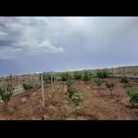 خونه-باغ
