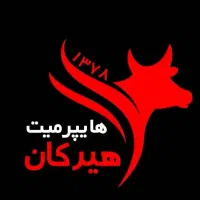 قصاب حرفه ای (بی خض کن)