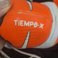 کفش سالن ورزشی