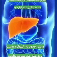 پاک سازی کبد چرب