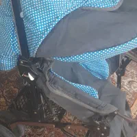 کالسکه|کالسکه و لوازم جانبی|نیشابور, گنبد سبز|دیوار