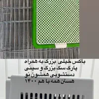 باکس سگ