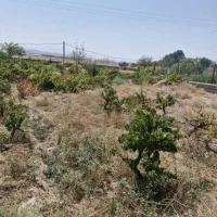 باغ دلیجان زیر اداره برق|فروش خانه و ویلا|دلیجان, |دیوار